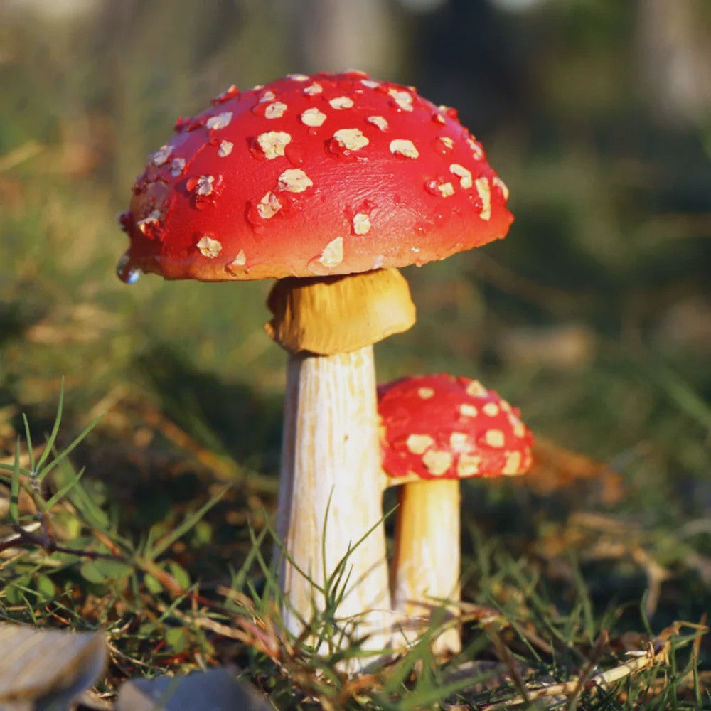 Set van Decoratieve Paddenstoelen Beeldjes - Hars Tuindecoratie Ornamenten
