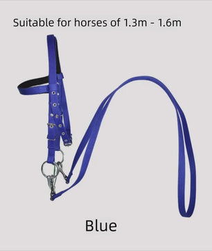 Verstelbaar Paard Halster met Longeerlijn Set - Nylon, 2.5m Lijn