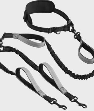 Verstelbare Dubbele Hondenriem met Schokdemper voor Handsfree Lopen en Trainen
