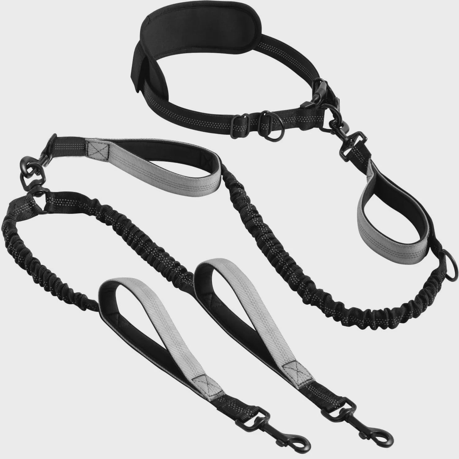 Verstelbare Dubbele Hondenriem met Schokdemper voor Handsfree Lopen en Trainen