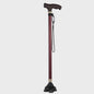 Verstelbare Aluminium Wandelstok met LED-lamp en Anti-slip Vierpoot