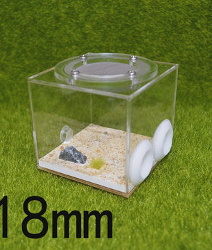 Vierkante Mierenboerderij van Acryl - Unieke Activiteitruimte 7x7x7cm