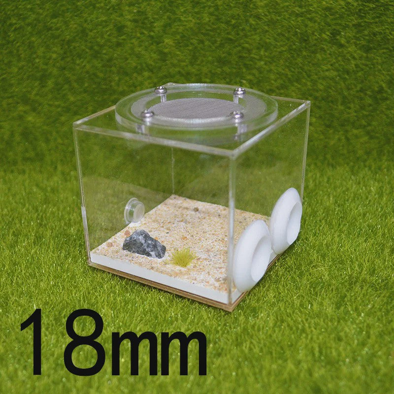 Vierkante Mierenboerderij van Acryl - Unieke Activiteitruimte 7x7x7cm