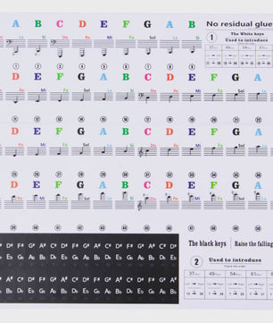 Verwijderbare Piano Toets Stickers met Muzieknoten - Leer Snel op 88/61/54 Toetsen