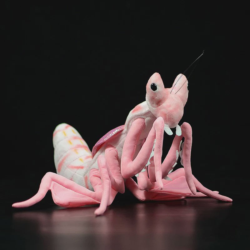 Zachte Pluche Insecten Knuffels: Motten, Bijen, Kever & Mantis - Levensechte Speelgoed Cadeaus
