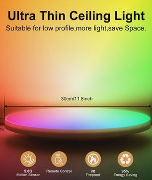 Slimme Plafondlamp LED RGB 24W Dimbare Rond Zwart 30cm met Afstandsbediening & App Bediening