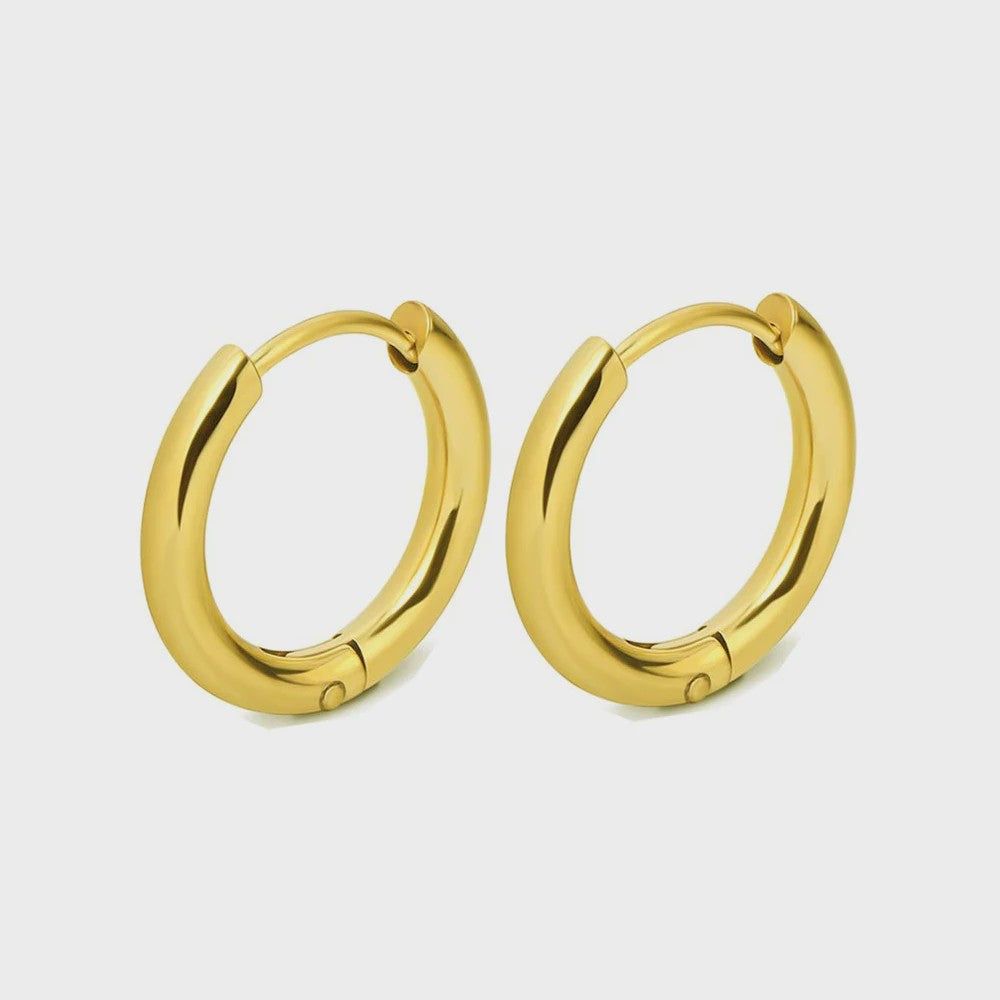 Roestvrijstalen Hoops Oorbellen - Goudkleurig, Zilver, Zwart & Regenboog - Unisex
