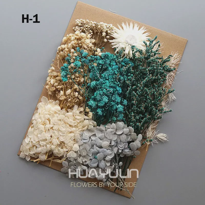 Set Gedroogde Bloemen & Hydrangea voor Ambacht & Decoratie