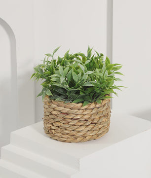 Kunstplant Eucalyptus Gras in Geweven Pot - Groen, 11cm