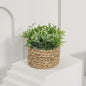Kunstplant Eucalyptus Gras in Geweven Pot - Groen, 11cm