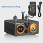 AIYIMA T9 PRO HiFi Bluetooth 5.2 Tube Versterker met VU Meter - 100W x 2 Stereo Audio Amp met USB DAC, COAX & OPT