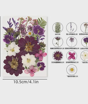 30 Stuks Gedroogde Persbloemen - Natuurlijke Bloemen & Bladeren voor Resin Art, Knutselen en Decoratie