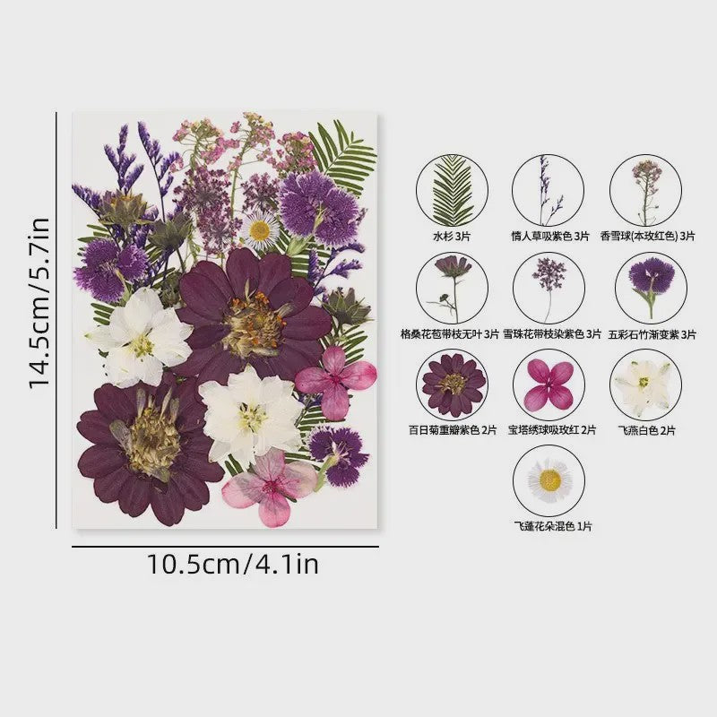 30 Stuks Gedroogde Persbloemen - Natuurlijke Bloemen & Bladeren voor Resin Art, Knutselen en Decoratie