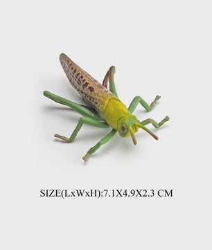 Realistische Insecten Model Figuren: Bidsprinkhaan, Bladwesp & Meer - Educatief Speelgoed & Decoratie
