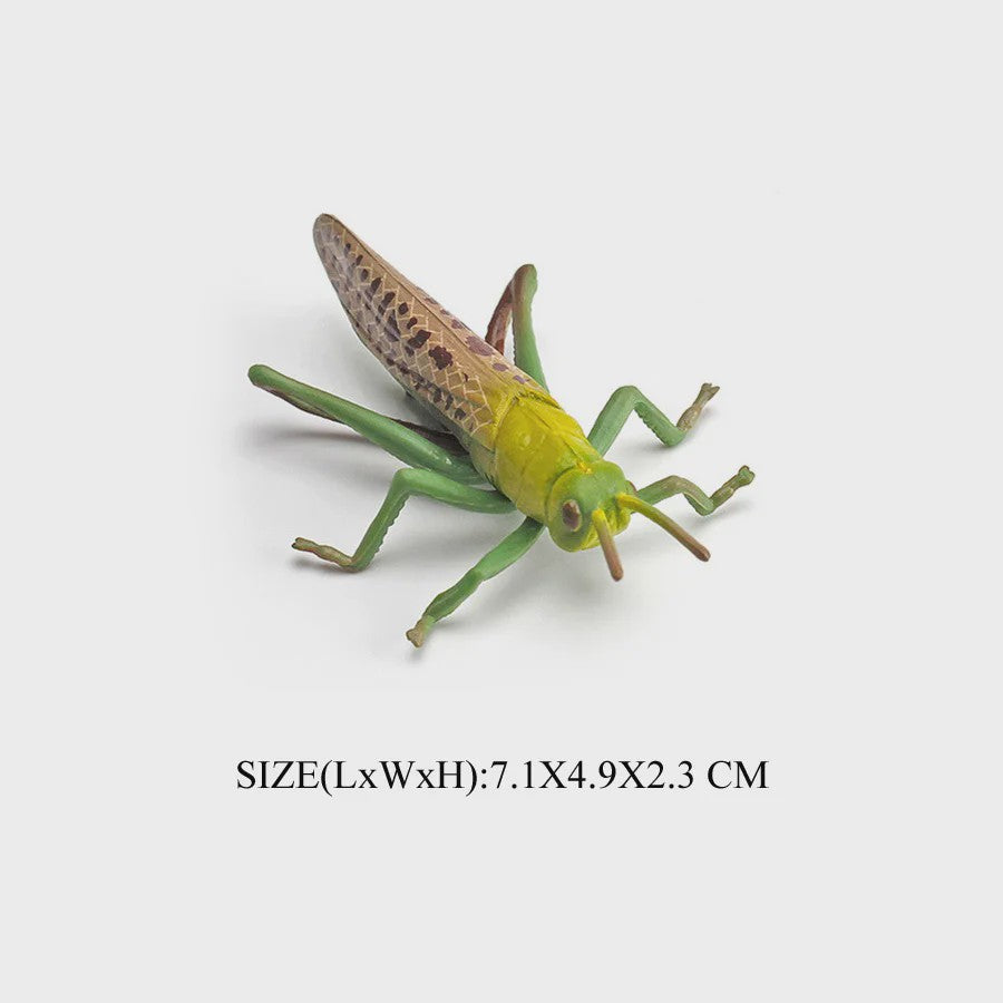 Realistische Insecten Model Figuren: Bidsprinkhaan, Bladwesp & Meer - Educatief Speelgoed & Decoratie