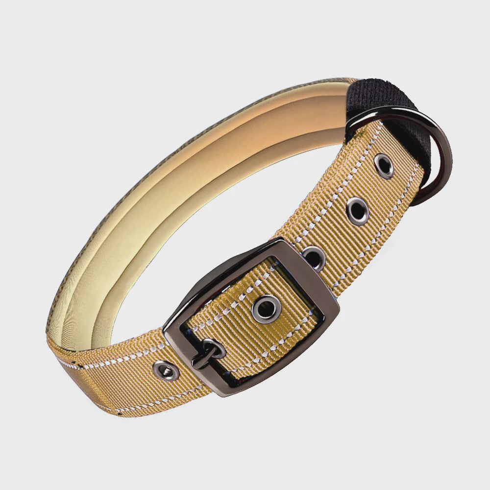 Veilige Hondenhalsband met Reflecterende Strepen - Ontsnappingsbestendig Nylon, Zachte Vulling & Snel-Sluiting