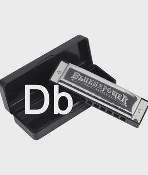 Professionele Diatonische Blues Harmonica - 10 Gaten, 20 Tonen, Inclusief Koffer
