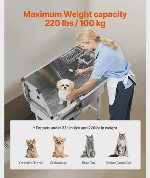 RVS Hondendouche & Wasstation 87cm met Ladder, Kraan en Douchekop - Professionele Dierenverzorging