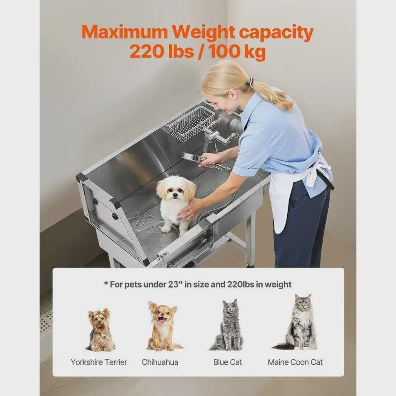 RVS Hondendouche & Wasstation 87cm met Ladder, Kraan en Douchekop - Professionele Dierenverzorging