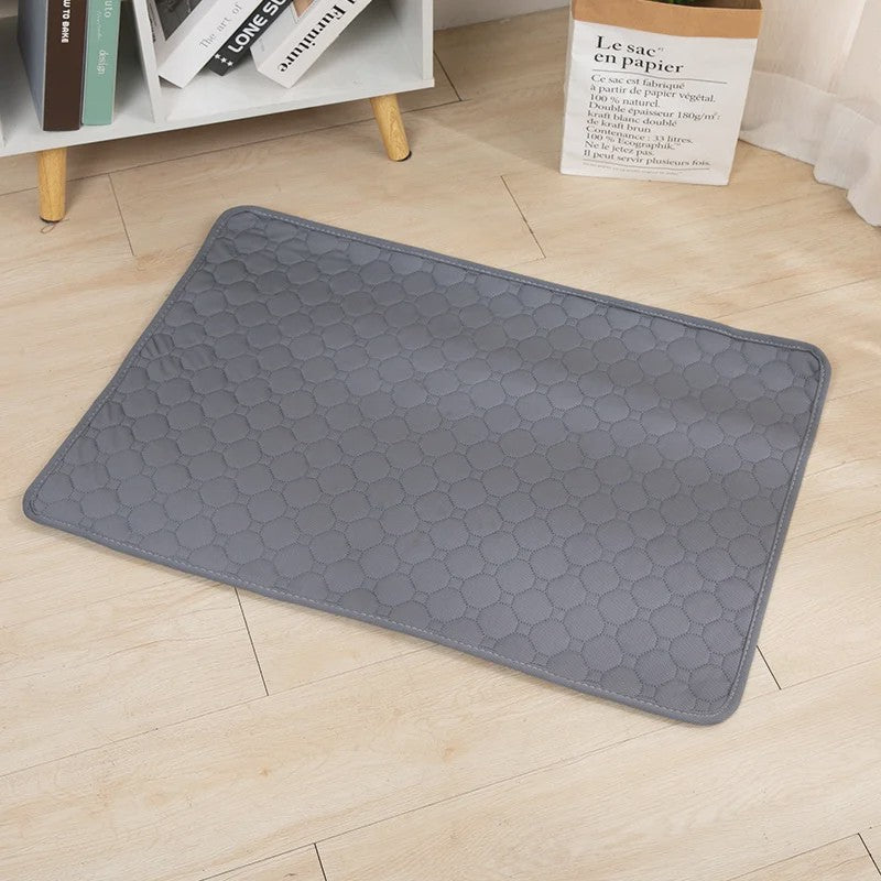 Herbruikbare Waterdichte Hondentoiletmat - Wasbaar & Antislip voor Puppy's en Oudere Honden