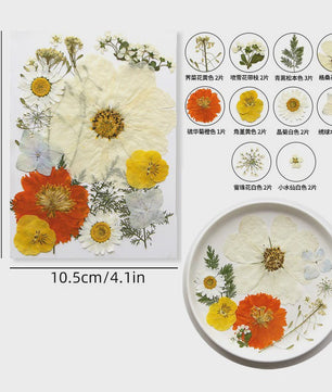 Set Gedroogde Bloemen & Bladeren (16-19 Stuks) - Natuurlijk & Realistisch