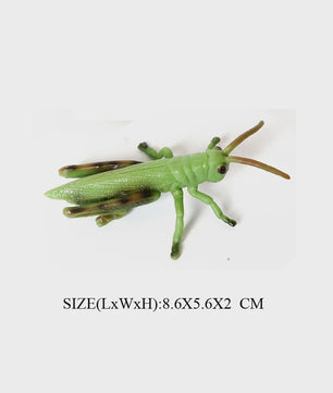Realistische Insecten Model Figuren: Bidsprinkhaan, Bladwesp & Meer - Educatief Speelgoed & Decoratie
