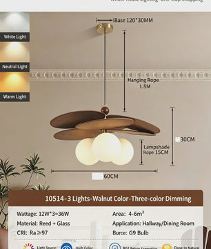 Vintage Rotan Hanglamp met Geweven Kap - Retro Stijl voor Woonkamer, Restaurant of Hotel