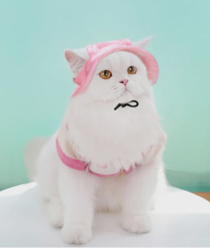 Grappige Honden- en Katten Zonnehoed met Oorgaten - Stijlvolle Tie-Dye Pet Accessoires