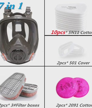 Professioneel Gasmasker 6800 - Volledig Gelaatsmasker met Verwisselbaar Filter voor Industrieel Gebruik