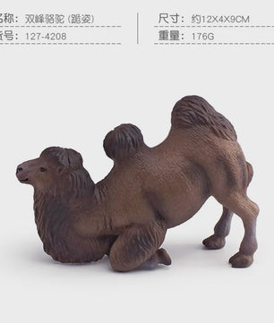 Realistische Dromedaris & Baktriaanse Kameel Figuren - Desktop Ornament