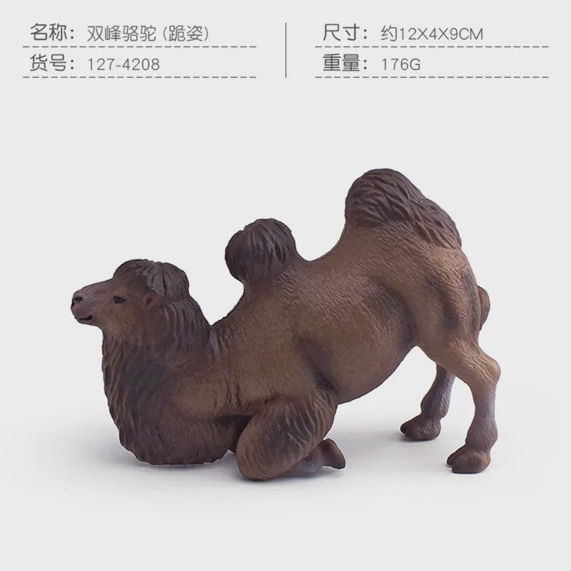 Realistische Dromedaris & Baktriaanse Kameel Figuren - Desktop Ornament