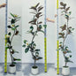 Kunst Magnolia Boom met Witte Pot - 150/180/210cm - Luxe Kunstplant voor Binnen