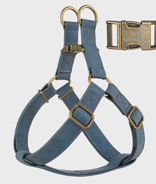 Luxe PU Leder Hondentuig met Leash en Gepersonaliseerde ID Gesp - Duurzaam voor Kleine & Middelgrote Honden