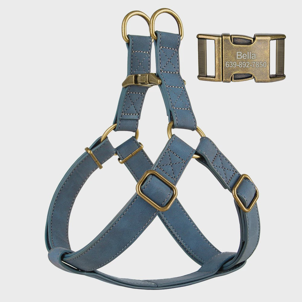 Luxe PU Leder Hondentuig met Leash en Gepersonaliseerde ID Gesp - Duurzaam voor Kleine & Middelgrote Honden