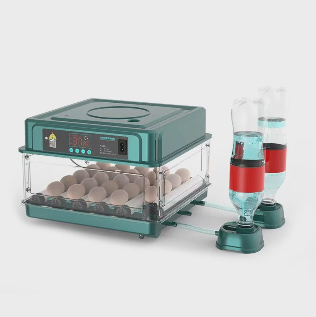 Volautomatische Broedmachine voor 24 Eieren met Lade-Type Automatische Draaier en Touchscreen