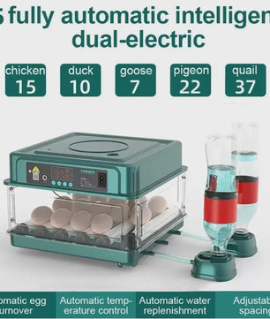Automatische Broedmachine voor Kippen, Ganzen, Vogels & Kwartels - Enkele/Dubbele Stroom - EU Stekker