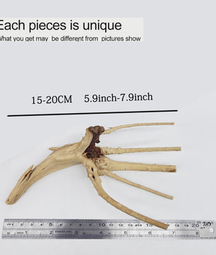Uniek Drijfhout Decoratie voor Aquarium en Terrarium - Natuurlijke Wortelstructuren (7-26cm)