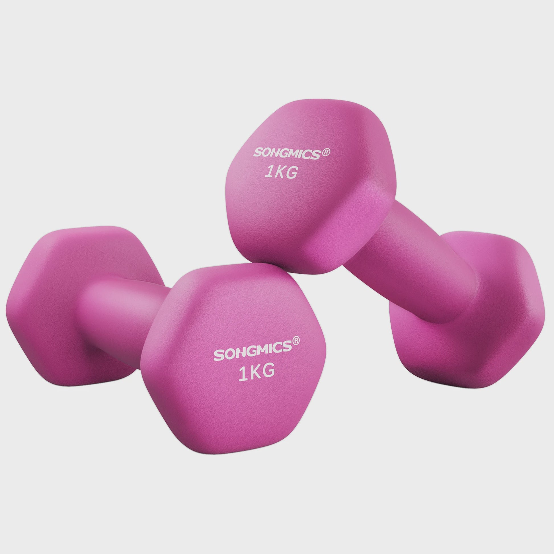 SONGMICS Halters Set (2 stuks) - Neopreen Coating, Zeskant Design - Verkrijgbaar in 1KG t/m 5KG