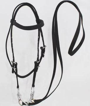Verstelbaar Paard Halster met Longeerlijn Set - Nylon, 2.5m Lijn