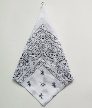 Klassieke Katoenen Bandana 55x55cm - Paisley Print Hoofdband voor Dames & Heren