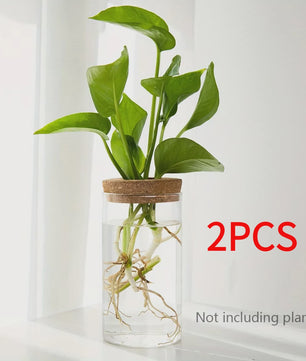 Glazen Hydroponics Vaas - Plantenstekken Station & Decoratie