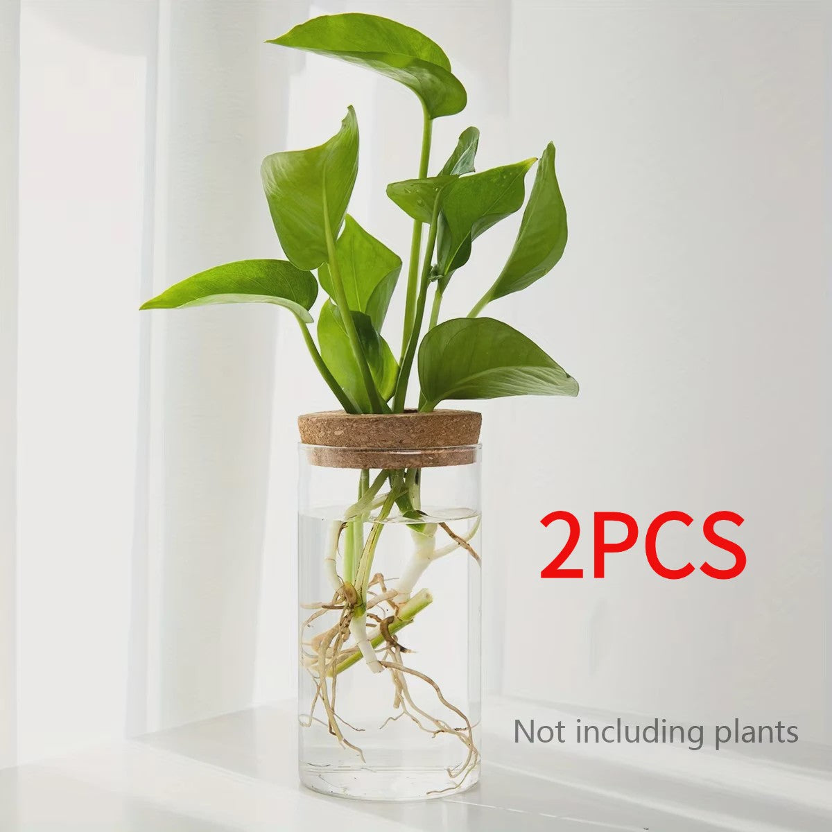 Glazen Hydroponics Vaas - Plantenstekken Station & Decoratie