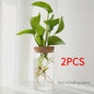 Glazen Hydroponics Vaas - Plantenstekken Station & Decoratie