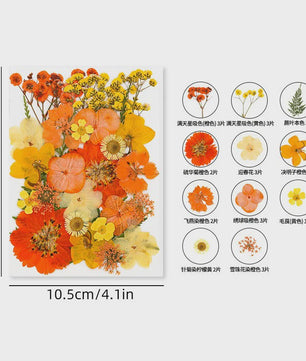 30 Stuks Gedroogde Persbloemen - Natuurlijke Bloemen & Bladeren voor Resin Art, Knutselen en Decoratie