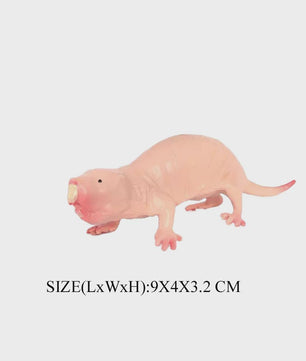 Realistische Dierenfiguren Collectie: Knaagdieren & Wilde Dieren