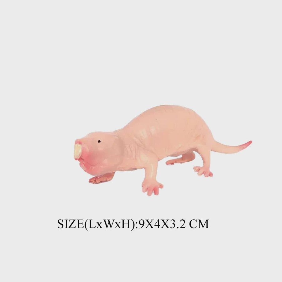 Realistische Dierenfiguren Collectie: Knaagdieren & Wilde Dieren