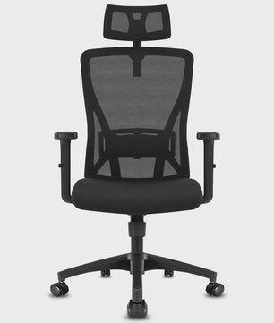 Ergonomische Bureaustoel met Lendesteun en Verstelbare Hoofdsteun - Zwart
