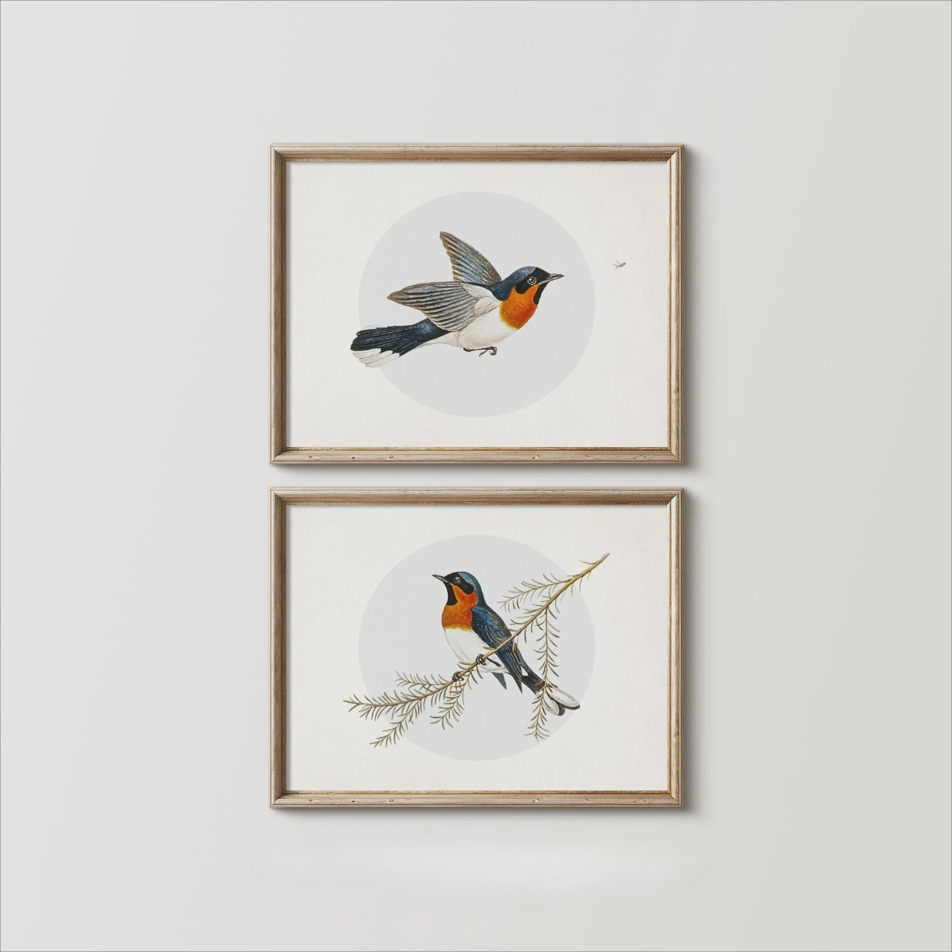 Set van 2 Frameloze Retro Kolibrie Canvas Posters - Landelijke Stijl Wanddecoratie