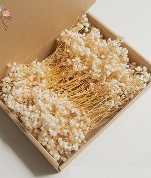 Gedroogde Mini Gipsenkruid Bloemen (100 stuks) - DIY Decoratie & Cadeau