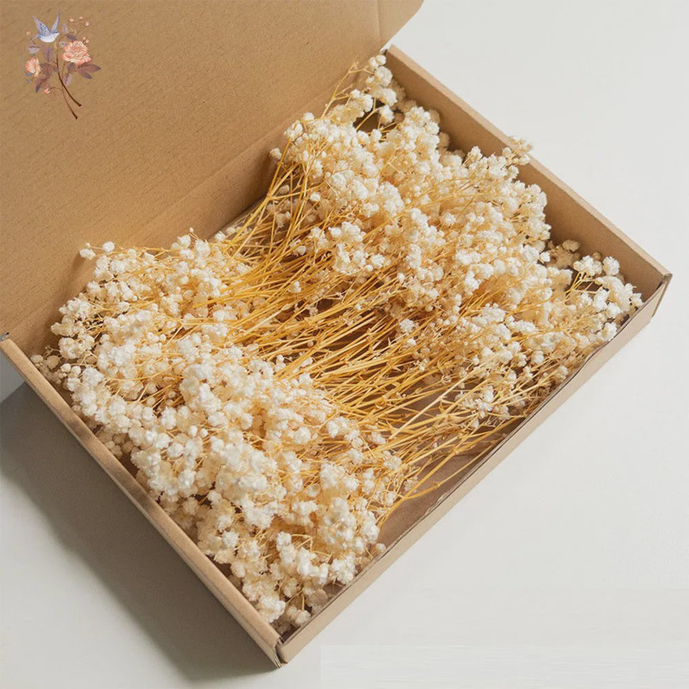 Gedroogde Mini Gipsenkruid Bloemen (100 stuks) - DIY Decoratie & Cadeau